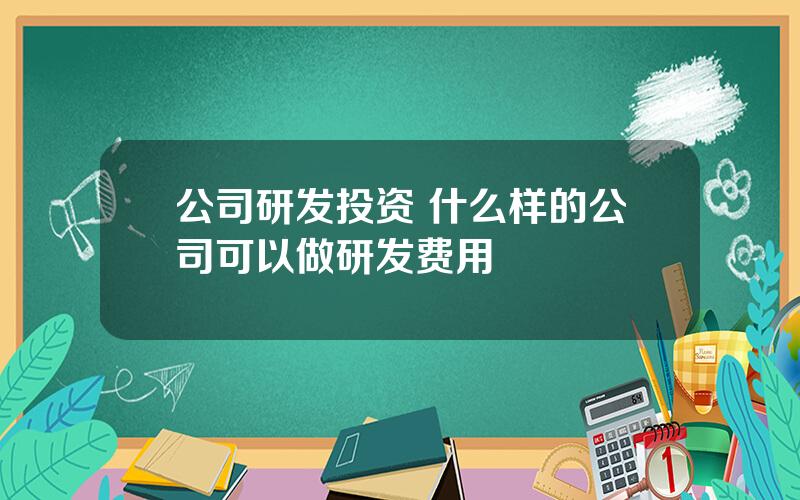 公司研发投资 什么样的公司可以做研发费用